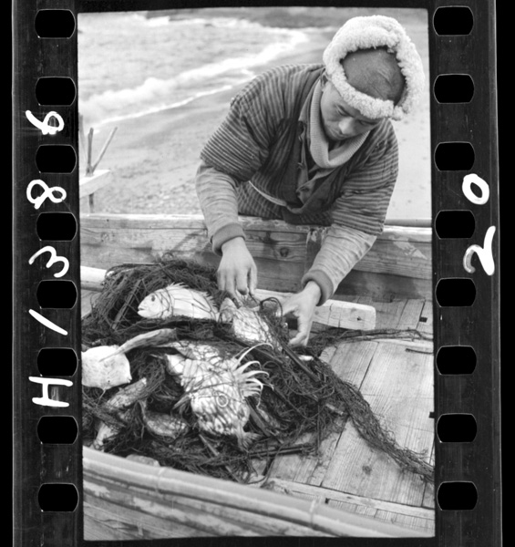 Ishibuhananidetabeteiruka