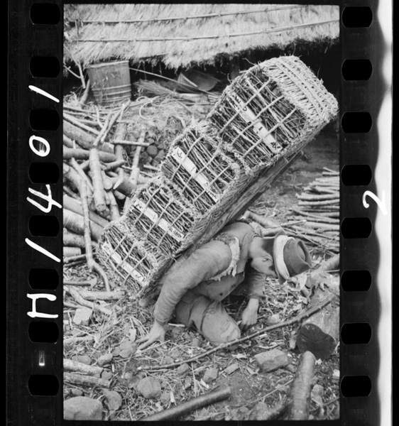 Ishibuhananidetabeteiruka