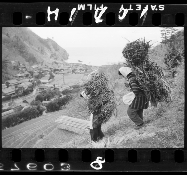 Ishibuhananidetabeteiruka