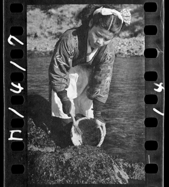 Ishibuhananidetabeteiruka