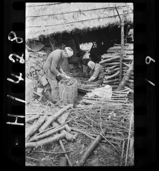 Ishibuhananidetabeteiruka