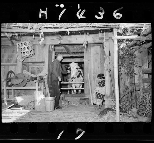 石部は何で食べているか