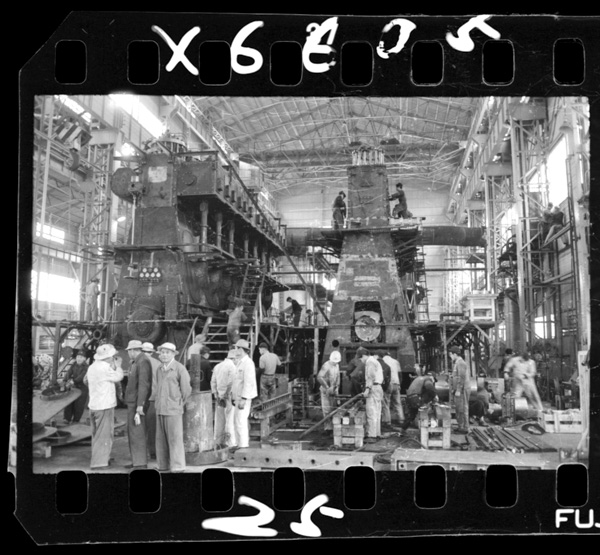 Senpakuyoudīzerunokumitate.tamashimashi