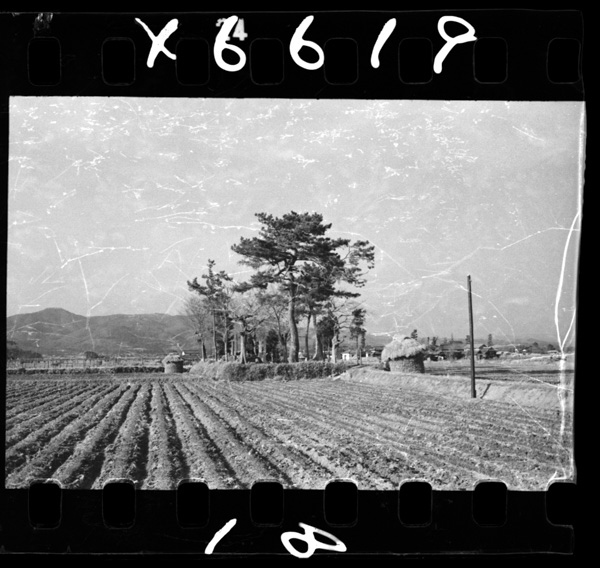 Bitchuukokufuato.soujashi