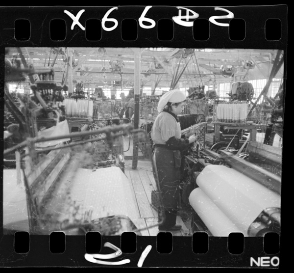 Shoukibonaorimonokoujou.iharashi