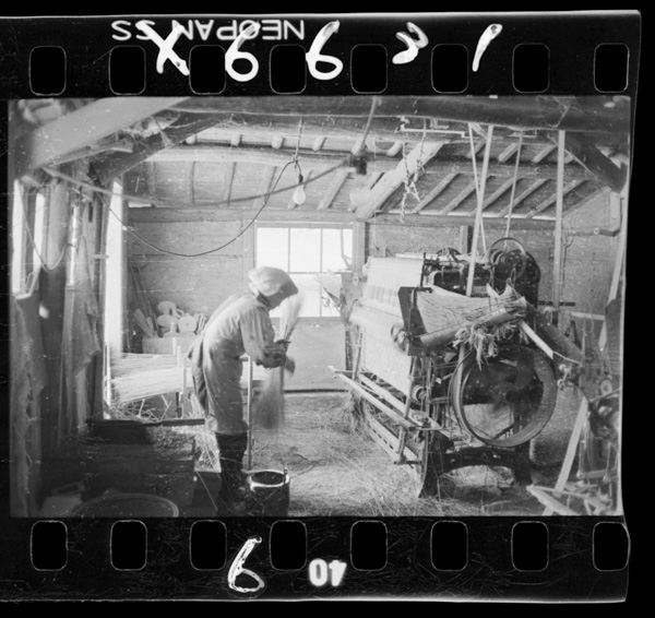 Hanamushiroori.noukanofukugyougaooi