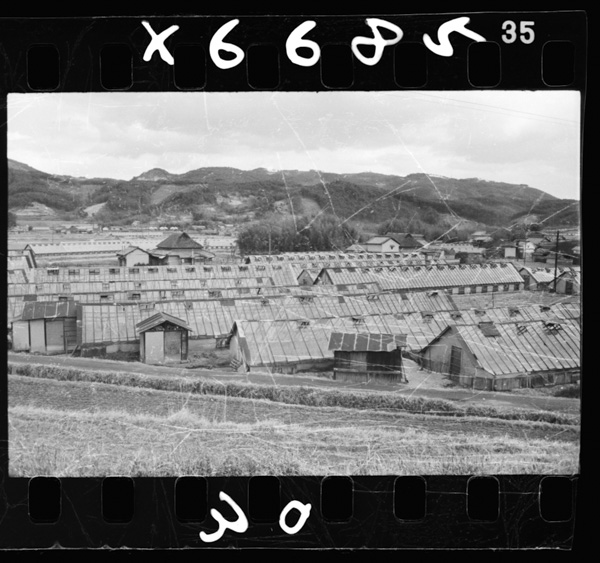 Budounoonshitsusaibaimosakan