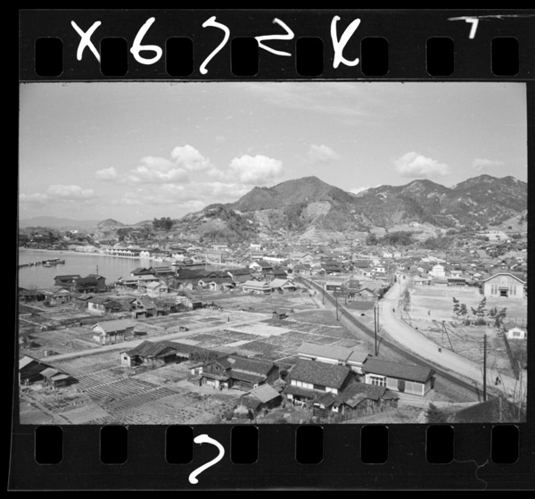 Tadanoumi.konofukinhaukitainomeishotoshiteshirareru