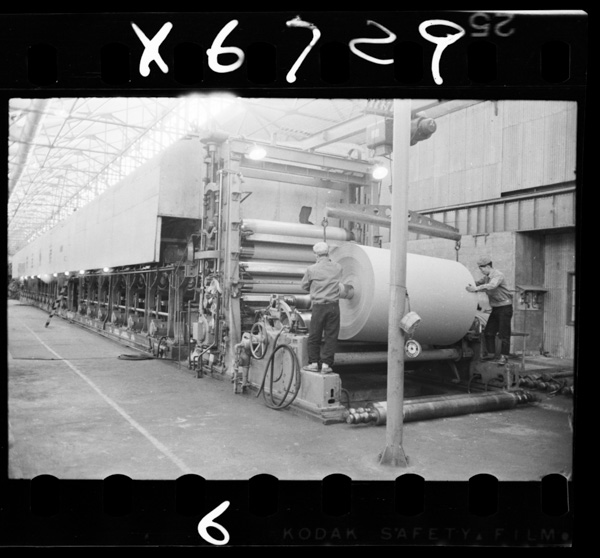 Kureshinoparupukoujou