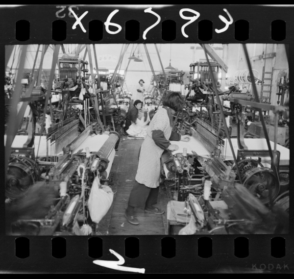 Kannabenodenimuhasengonoshinkousangyou