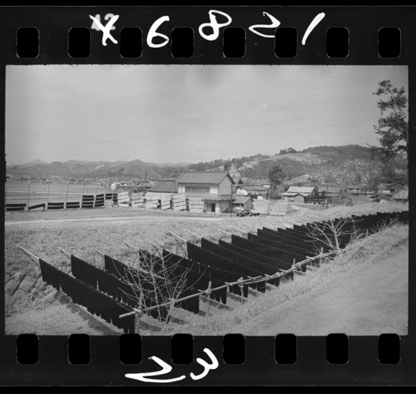 染めた糸を干す