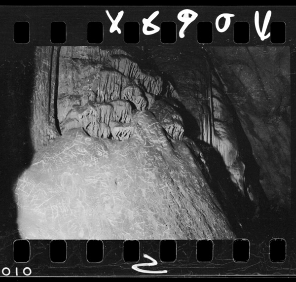 Horaokunosekkaikataki