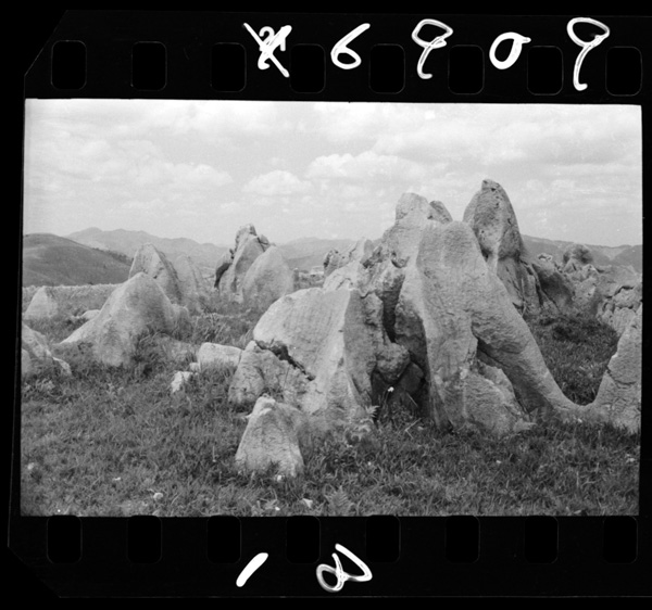 秋吉台を特徴づける石灰岩柱.緻密で堅い石灰岩に見られる型