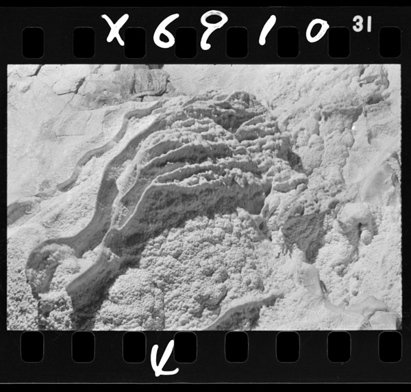 Gouryuushitemakujounoshounyuusekiwotsukuru(taishoudou)