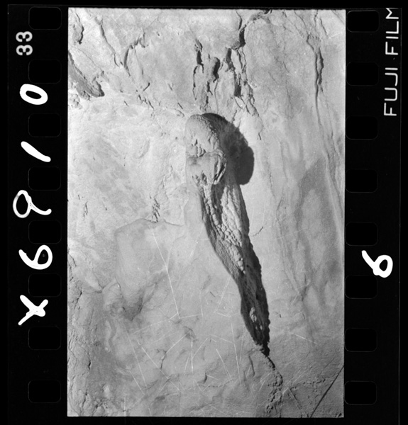 Henpeinaribonjounoshounyuuseki(taishoudou)