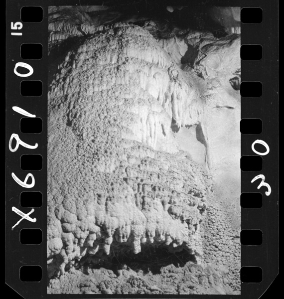 Ikuenimokasanattatsurarajoushounyuuseki