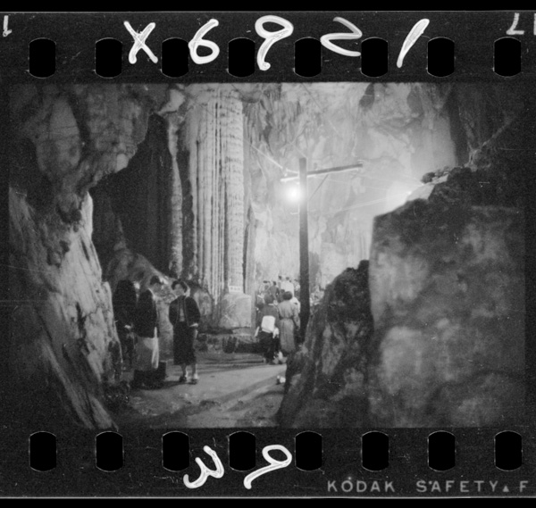 Ougonchuu.konofukinmadehashoumeisetsubimokanbi