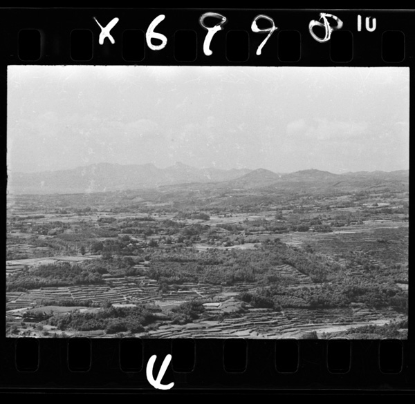 Taradakekaraseihounihirogaruoomurasenjouchi