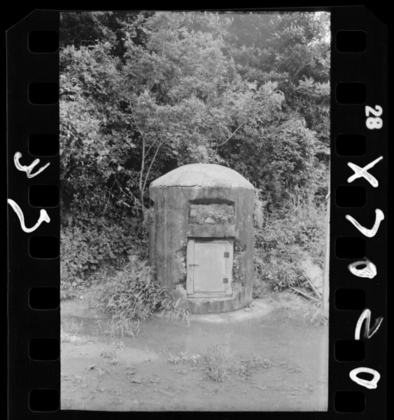 Yousaichitainonagori