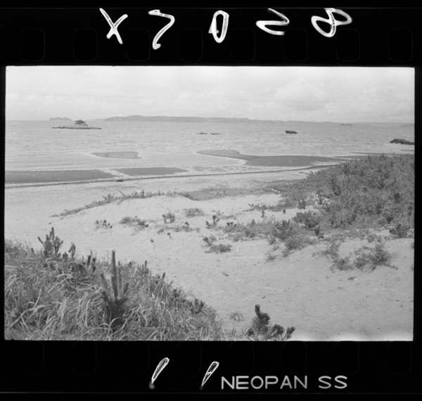 Hokushouhokubukaigannihachiisanasakyuugahattatsushiteiru(shisa)