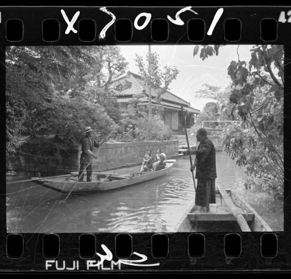 Dononoukamofunedakehamotteiru