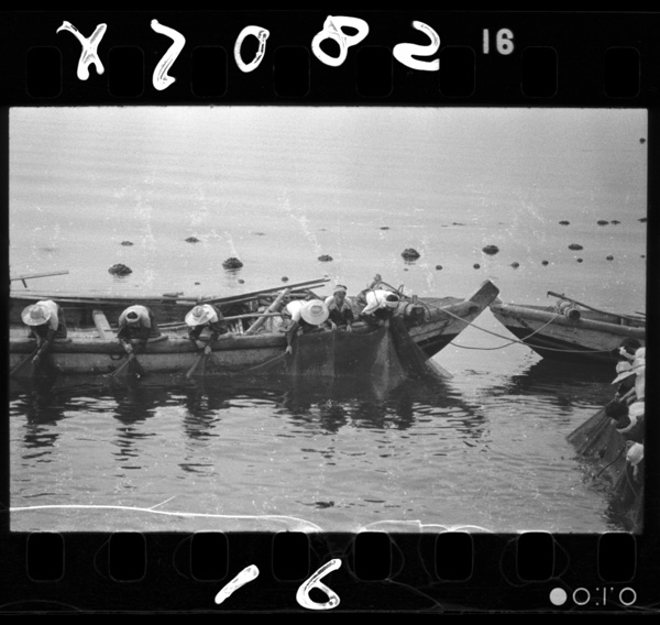 Buriryounoooshikiami(iki)