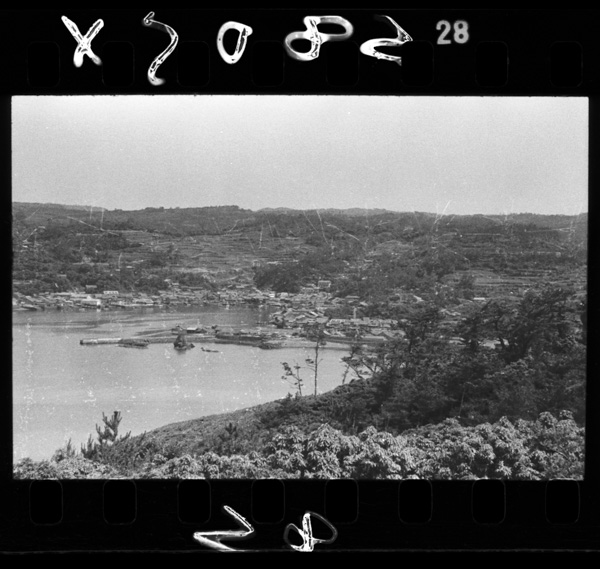 Katsumoto.tairikuhenochuukeikoutoshitesakaeta(iki)