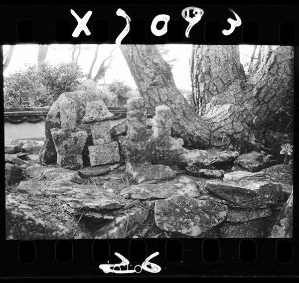 Shounisuketokinohaka(iki,ashibechou)