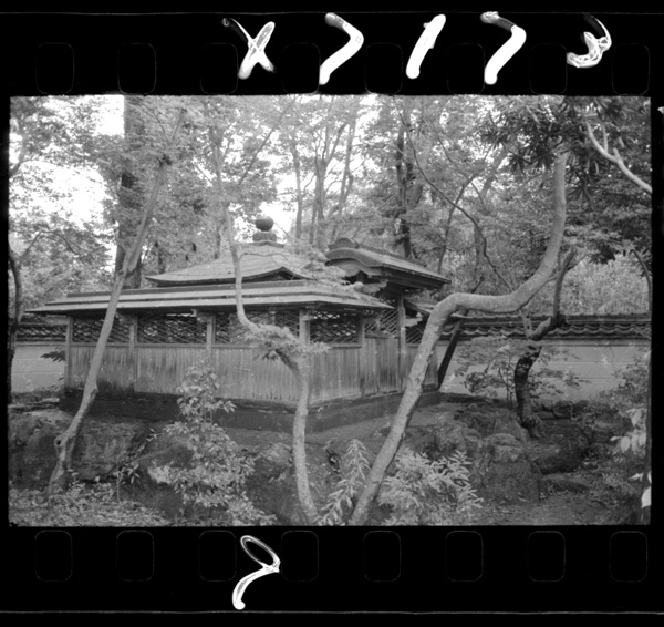 Odanobunaganobyou.gifushi