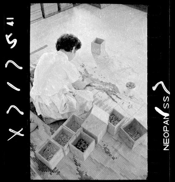 Tajimishinotairubarie