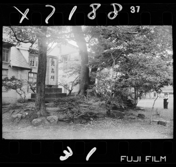 Gifukouennainokonchuuhi