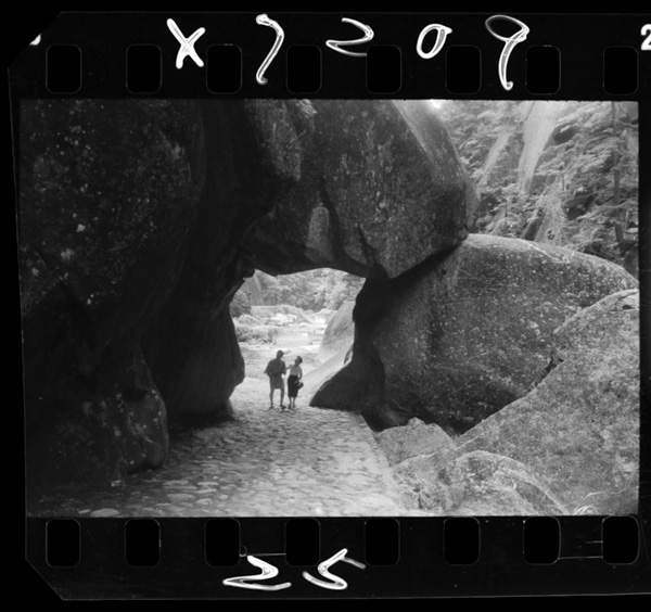 Kyodainashizennotonnerumoaru