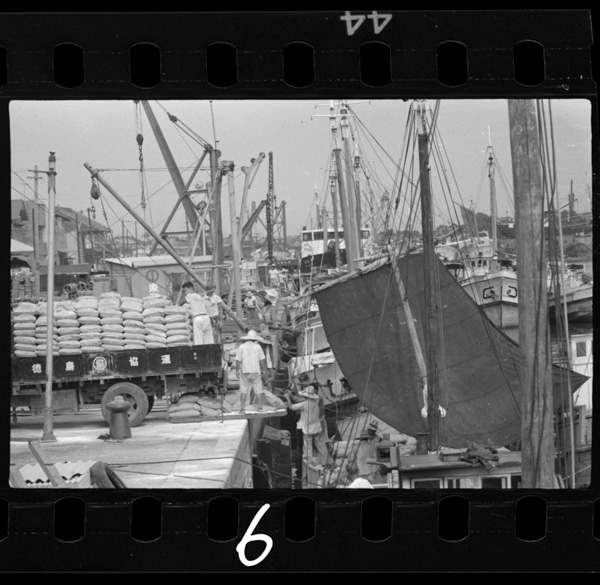 Tokushimakou.hanshinmukenokihansendefukusousuru