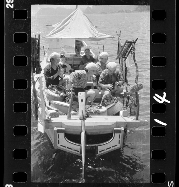 Abuuranoama.amabuneninottekyoumookiheiku