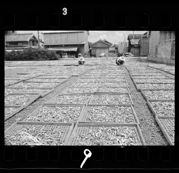 Niboshizukuri.tachibanachou