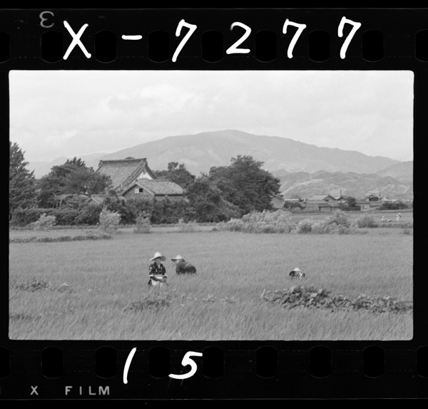 Nakagawakaryuunoheiyahakennaiyuusuunosuidenchitai