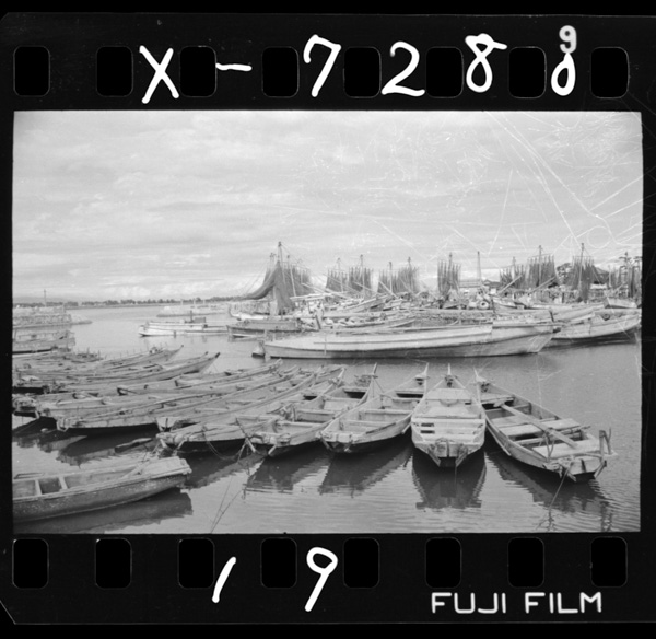 Tokushimashitsuda.shinmachigawanokakounikuraisurukinkaigyogyounokonkyochi