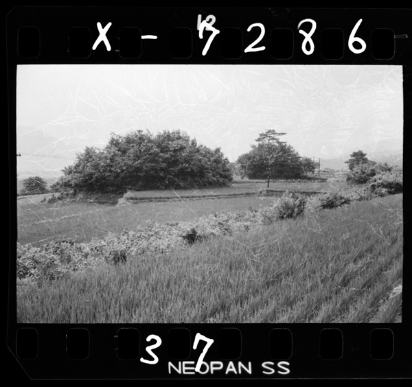 段の塚穴.太鼓塚(右)と棚塚