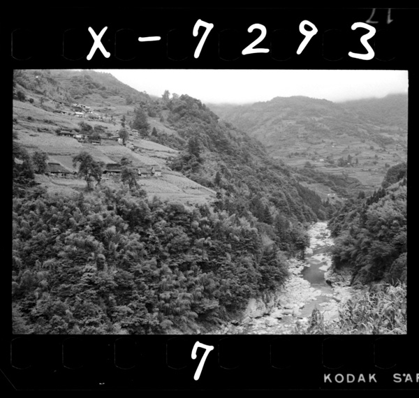 谷ぞいの急斜面の耕地