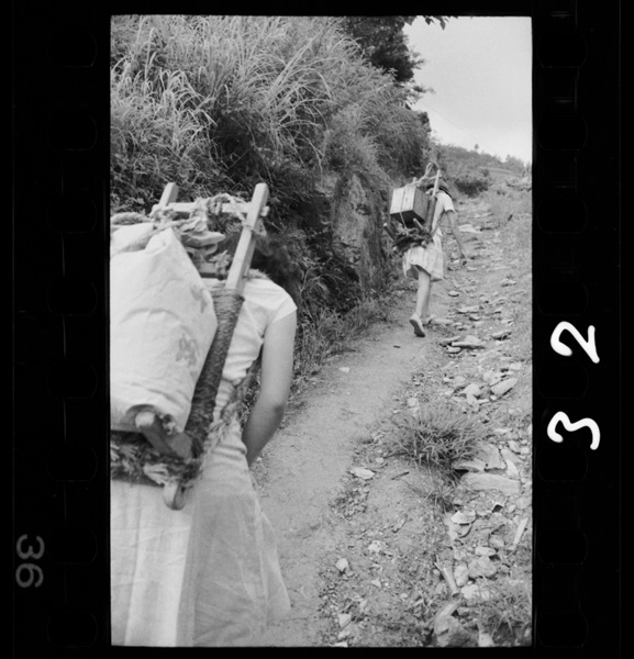 Iyadani ieiewomusubuhosoimichi