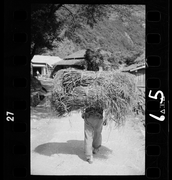 Yamakarakouzowohakobu