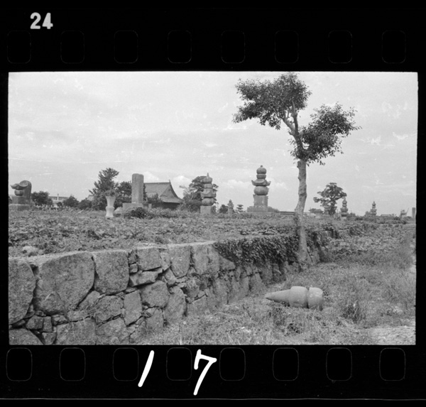 Hachisukakenobosho.tokushimashikougenji