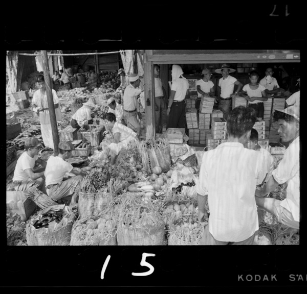 Sosaishuusanchi,narutoshinoseikaichiba