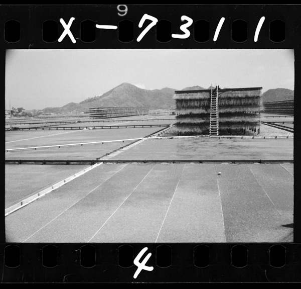 Kaizougonoryuukashikienden