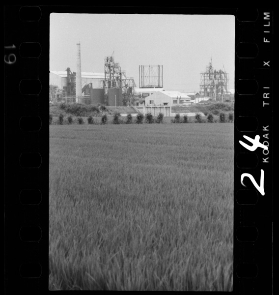 Katsutehaaisakugasakanniokonawareteitatochiniatarashikukoujougakensetsusareteiku.tokushimashi