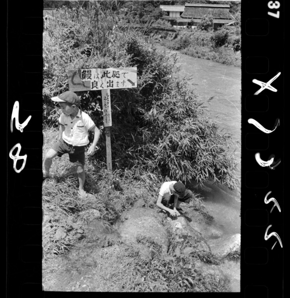 Kayukawanotennenunagi