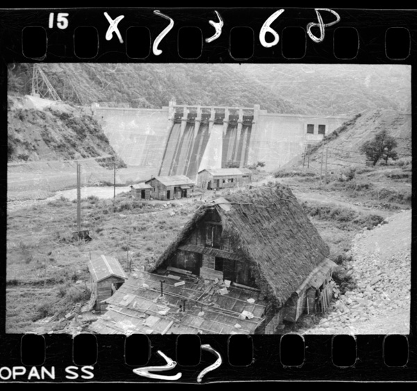 Hatogayadamu.shougawa