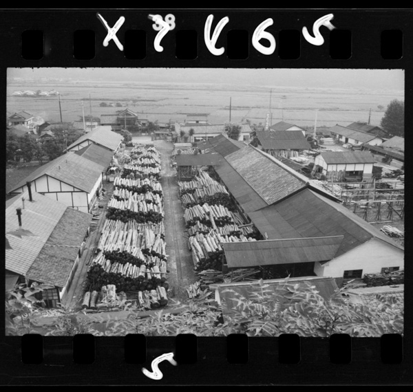 Nirasakinoseizaikoujou