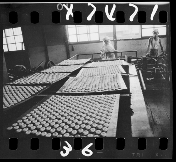 Bisukettokoujou.koufushi