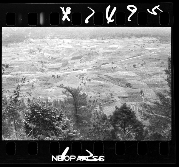 Momijidaikaramitasanrokunokaitakuchi.toumorokoshibatakegaooi